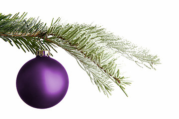 Image showing Purple Christmas ball on a snowy branch