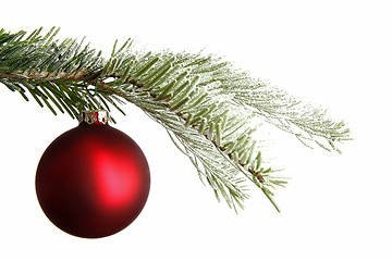 Image showing Red Christmas ball on a snowy branch