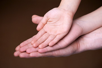 Image showing Family hands