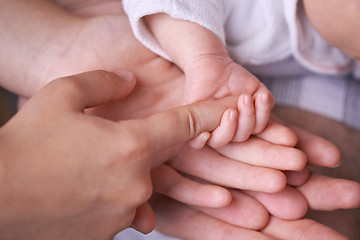 Image showing Family hands