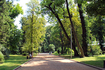 Image showing Beautiful park with many green trees