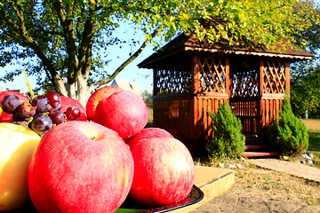 Image showing red apples on the arbor background