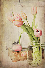 Image showing Vintage Pink Tulips