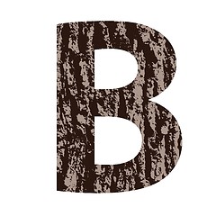 Image showing letter B made from oak bark