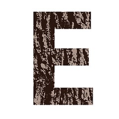 Image showing letter E made from oak bark