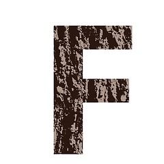 Image showing letter F made from oak bark