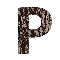 Image showing letter P made from oak bark