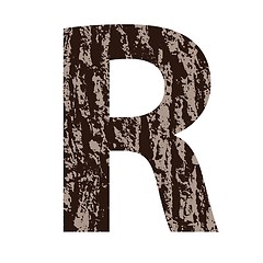 Image showing letter R made from oak bark