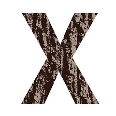 Image showing letter X made from oak bark