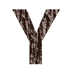 Image showing letter Y made from oak bark