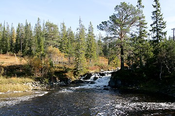 Image showing Creek in autumn