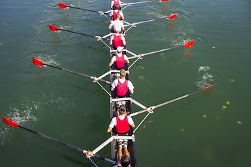 Image showing Crew Team in Competition 