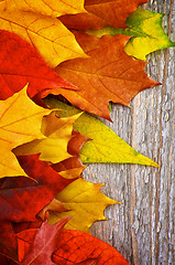 Image showing Frame of Autumn Leafs