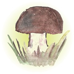 Image showing mashroom