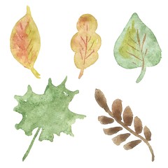 Image showing set of autumn leaves