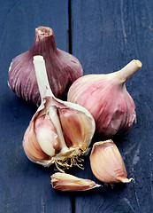 Image showing Garlic