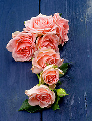 Image showing Pink Roses