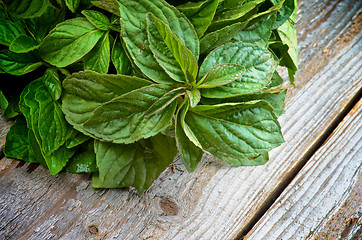 Image showing Lemon Balm