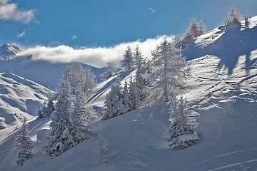 Image showing Winter Landscape