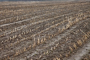 Image showing Muddy field