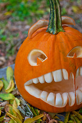 Image showing Halloween pumpkin