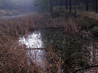 Image showing gloomy lake