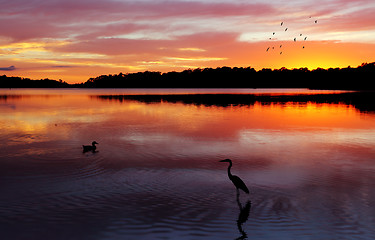 Image showing Sunrise Narrabeen Lakes