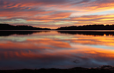 Image showing Narrabeen Lakes Reflections