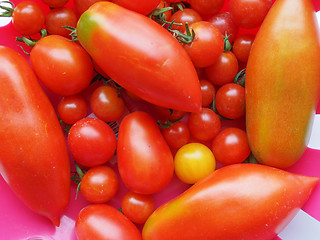 Image showing Tomato vegetable