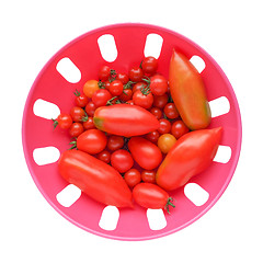 Image showing Tomato vegetable