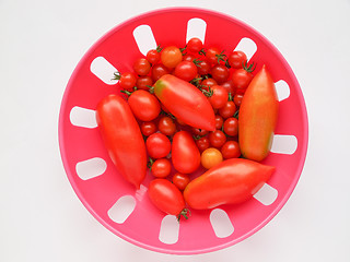 Image showing Tomato vegetable