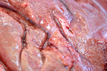 Image showing macro raw liver with blood