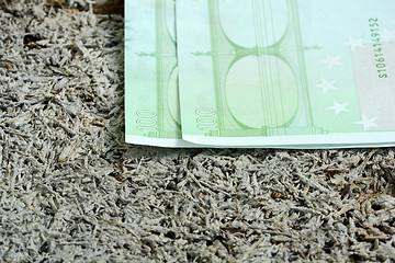 Image showing Close up macro detail of euro money banknotes