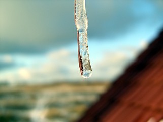 Image showing icicle of ice