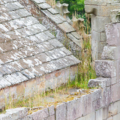 Image showing Details of an forgotten old Scottish Abbey