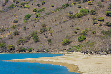 Image showing Komodo Island