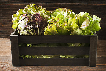 Image showing Salad in box