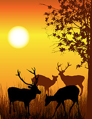 Image showing Deer card
