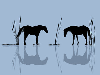 Image showing Horses at the water