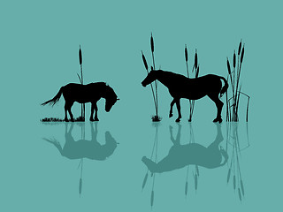 Image showing Horses by the water