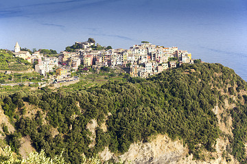 Image showing Corniglia Cinque Terre