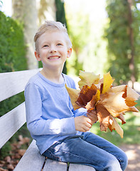 Image showing kid at fall