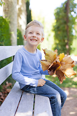 Image showing kid at fall