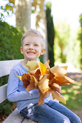 Image showing kid at fall