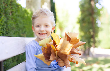 Image showing kid at fall