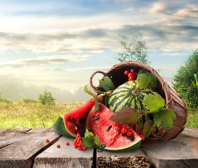 Image showing Watermelon and landscape