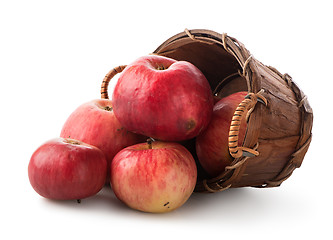 Image showing Apples in a basket