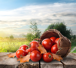 Image showing Tomatoes on the table