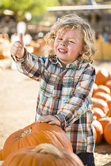 Image showing Cute Little Boy Gives Thumbs Up at Pumpkin Patch