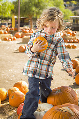 Image showing Little Boy Holding His Pumpkin at a Pumpkin Patch